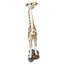 Gerard The Giraffe Garden Statue