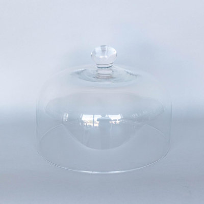 Clear With Rounded Knob Glass Cloche
