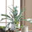 Cunha Faux Fern Plant-1046178014