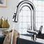 Belfry Kitchen Wilburg Pull Out Kitchen Faucet