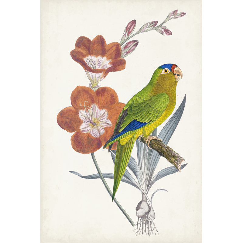 Tropical Bird and Flower III by Vision Studio - Painting, 30cm H x 20cm W, Wrapped Canvas
