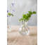 Chelsea Optic Posy Vase