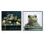 Geckos de salle de bain - Soak-457458088-457458089