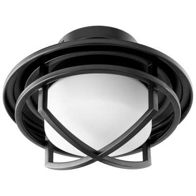 Riemer 11'' 1 - Light LED Globe Ceiling Fan Light Kit