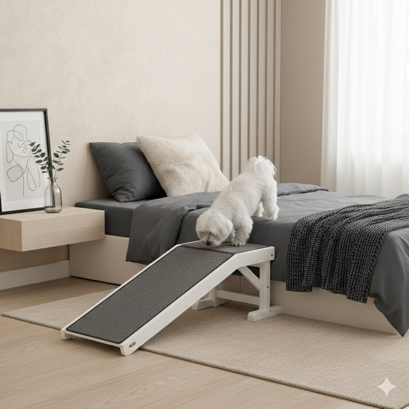 Rampe d'accès pour lit Canine