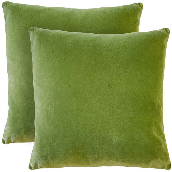 Housses de coussin en velours doux Francesca, ensemble de 2 housses de coussin, carré de 20 po x 20 po pour canapé-lit, vert gazon