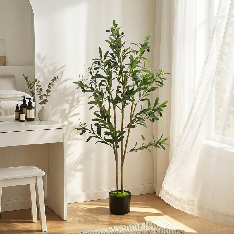 120cm Plant