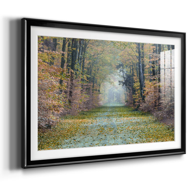 Enchanted Path, reproduction d'art encadrée sur papier, Noir, H 19 po x l 27 po x P 1,5 po