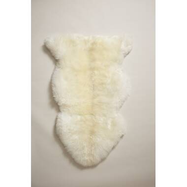 Shearling Pillow Farmhouse Pottery Color: Fog