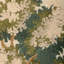 Sherwood Emb-552558579