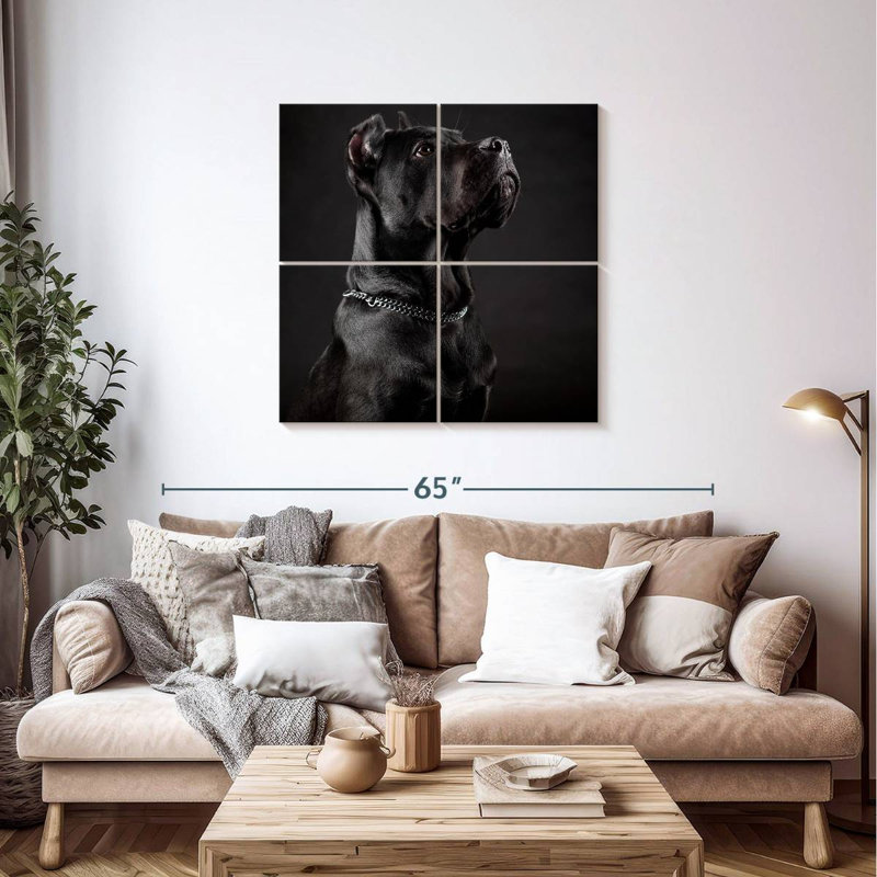 Canne cinto Brampt, H 38 po x l 38 po