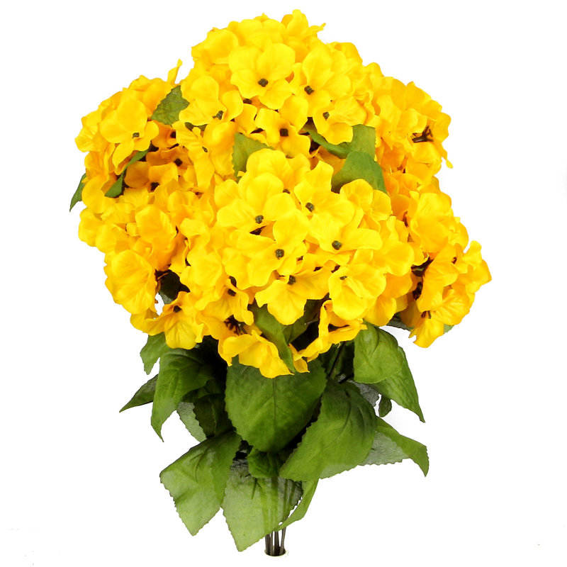 Hydrangea Arrangement, Sunburst