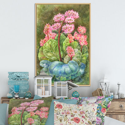 Herbal Tea Bergenia Botanical - décoration murale en toile de ferme