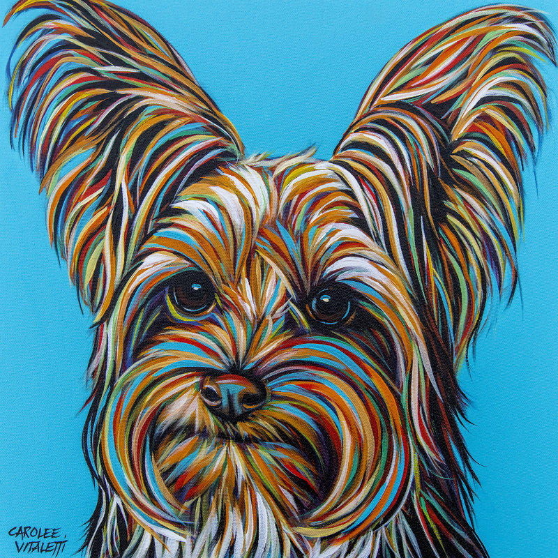 Yorkie On Blue by Carolee Vitaletti - Wrapped Canvas Print, 122cm H x 122cm W x 3.8cm D