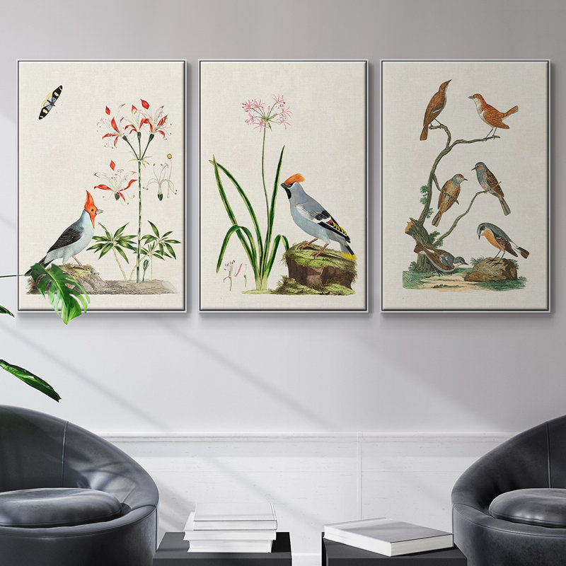 Oiseaux antiques dans la nature IV, encadré sur toile, 3 pièces, H 36 po x l 72 po x P 2 po, Cadre blanc