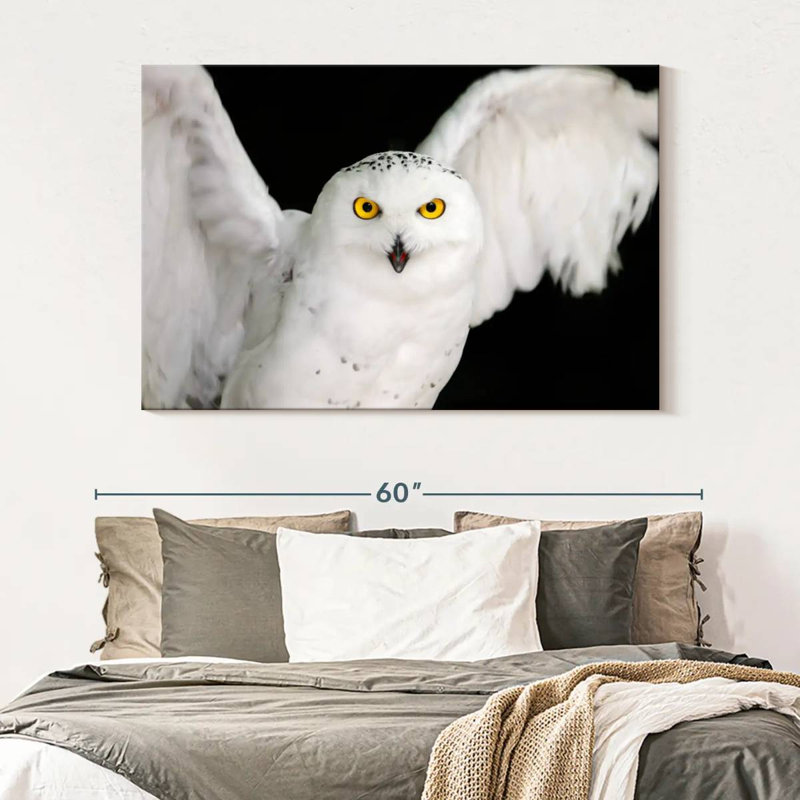 Brampt White Owl, 34" H x 51" W