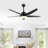 Bedinotti 52'' Ceiling Fan with LED Lights