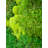 Handmade Traditional Wall Decor on Solid Wood-87461754