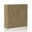 Cociani Rectangle Accent Chest