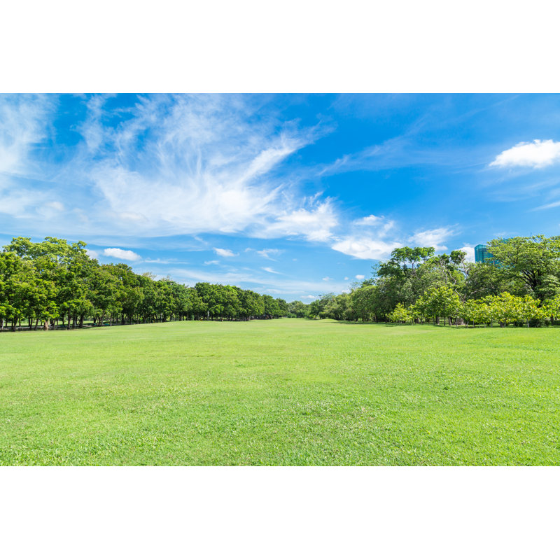 Green Grass Field by Kinwun - Wrapped Canvas Print, 30cm H x 46cm W