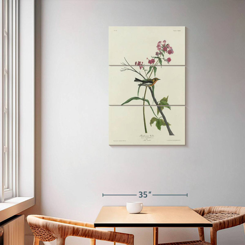 Keiri Blackburnian Warbler, 57" H x 36" W