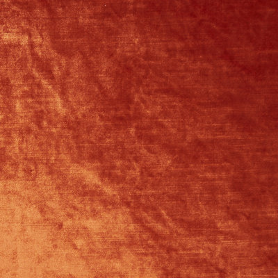 Allure Fabric