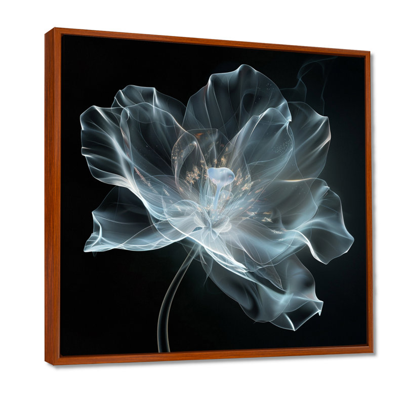 Anémone blanche transparente sur fond noir - autres plantes et fleurs, H 30 po x l 30 po x P 1 po