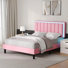 Ensemble de chambre à coucher 3 pièces Smart Bed en cuir avec 2 tables de chevet flottantes à DEL
