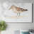 Pretty Piper II-Gallery Wrapped Canvas-589107557