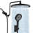 High Pressure 10" Rain Shower Head with Handheld Spray Combo-80486110
