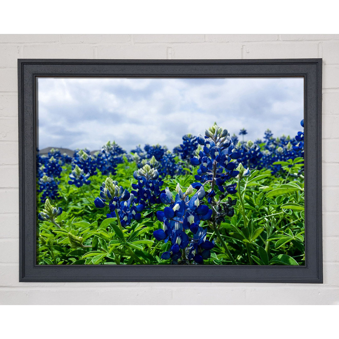 Blaue Blumen auf grünen Stängeln Gerahmter Druck