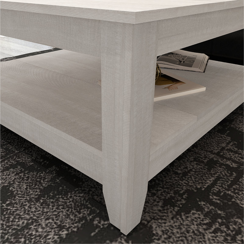 Weddel Basilico Coffee Table with Storage, Chêne gris cendré