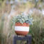 Pot de fleurs en terre cuite
