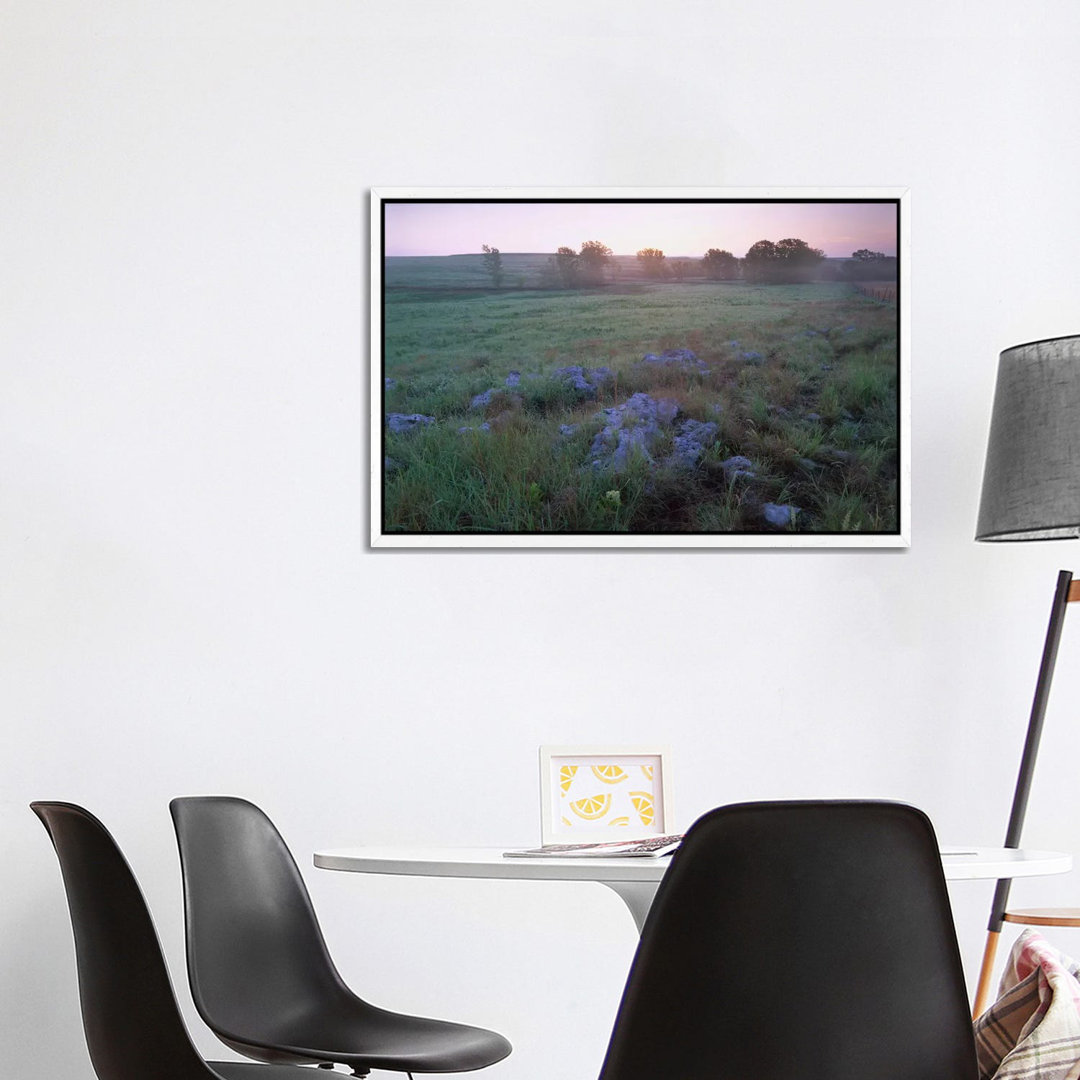 Misty Morning Over Prairie, Tallgrass Prairie National Preserve, Kansas von Tim Fitzharris - Gallery-Wrapped Canvas Gicl...