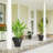 Kise Pot Planter-323524643-322665829