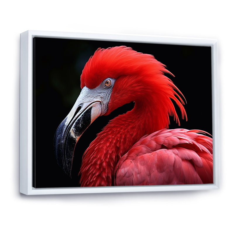 Flamants rouges rougissant I - reproduction sur toile, Cadre flottant blanc, 34" H x 44" W