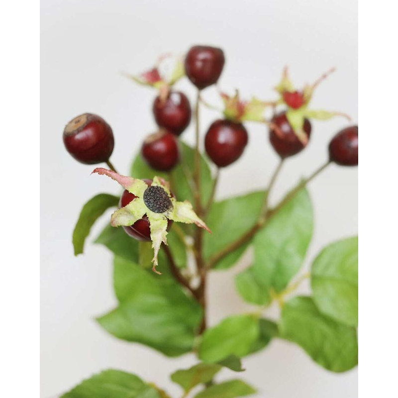 Artificial Montana Rose Hip 23.5", Red, 18" H x 6" W