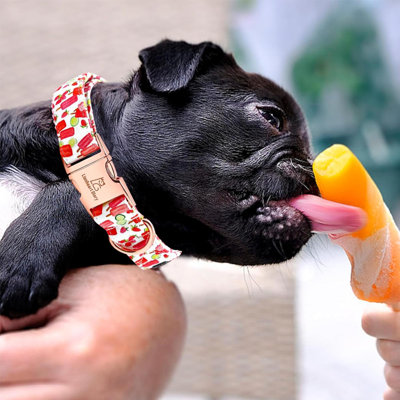 Popsicle Print Dog Collar - Soft, Durable, Adjustable For  Dogs - Spring/Summer Cute Collar Gift
