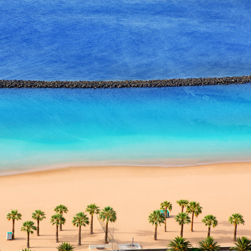Beach Las Teresitas - Wrapped Canvas Print, 122cm H x 122cm W x 3.8cm D