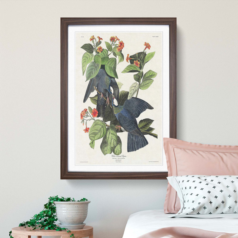 White-Crowned Pigeons by John Audubon - Picture Frame Painting Print, 65cm H x 48cm W x 2cm D, Walnut Framed