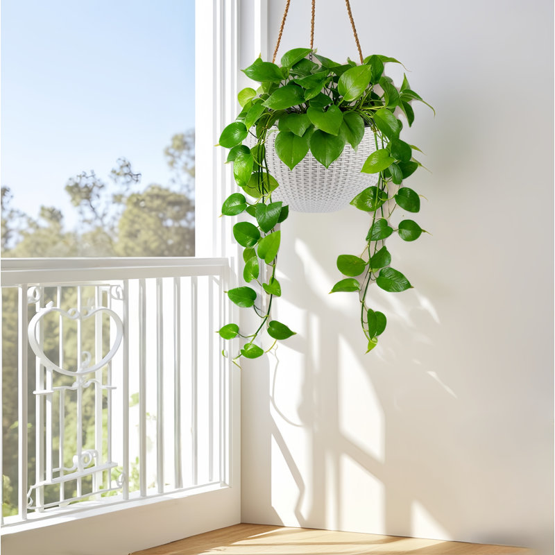 13 po Ensemble de pots à fleurs ronds en rotin avec système d'auto-arrosage W, Blanc