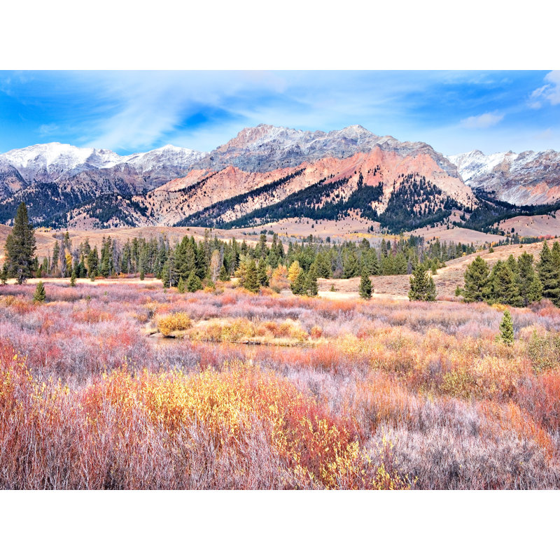 Autumn Wetland and Boulder Mt. par Bruce Heinemann - impression, Papier avec cadre noir, Blanc, 30" H x 39" W