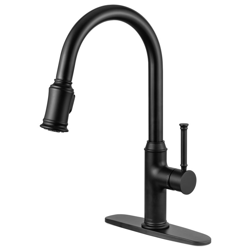 Robinet de cuisine rétractable à poignée simple avec accessoires, Noir mat