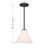 Hashimoto 1-Light Mini-Pendant or Semi-Flush in Matte Black-1145951839