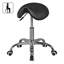 Saddle Stool, Practice Stool, Cosmetic Stool, Swivel Stool, Rolling Stool-25243742