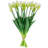 Tulip Arrangement