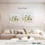 Hortensias doux