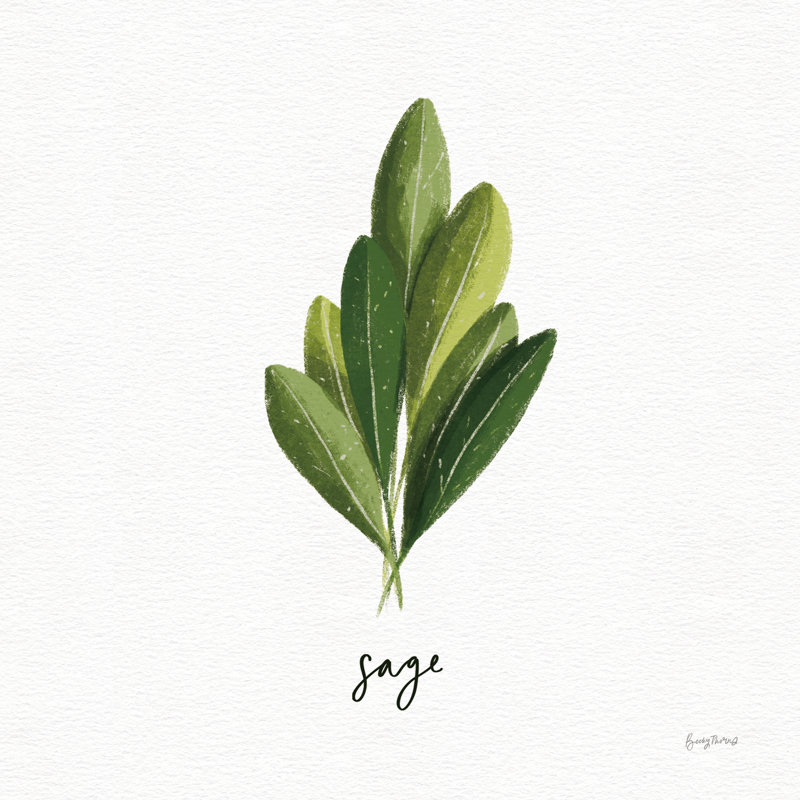 «Herbs II White» par Becky Thorns - reproduction d'art sur toile tendue, H 12 po x l 12 po