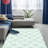 Wool Geometric Indoor Rug