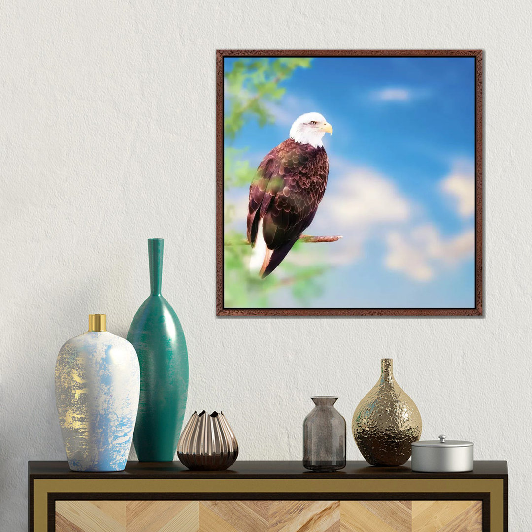 Amerikanischer Weißkopfseeadler auf einem Baum von Susan Richey - Galerie-verpackte Leinwand Giclée